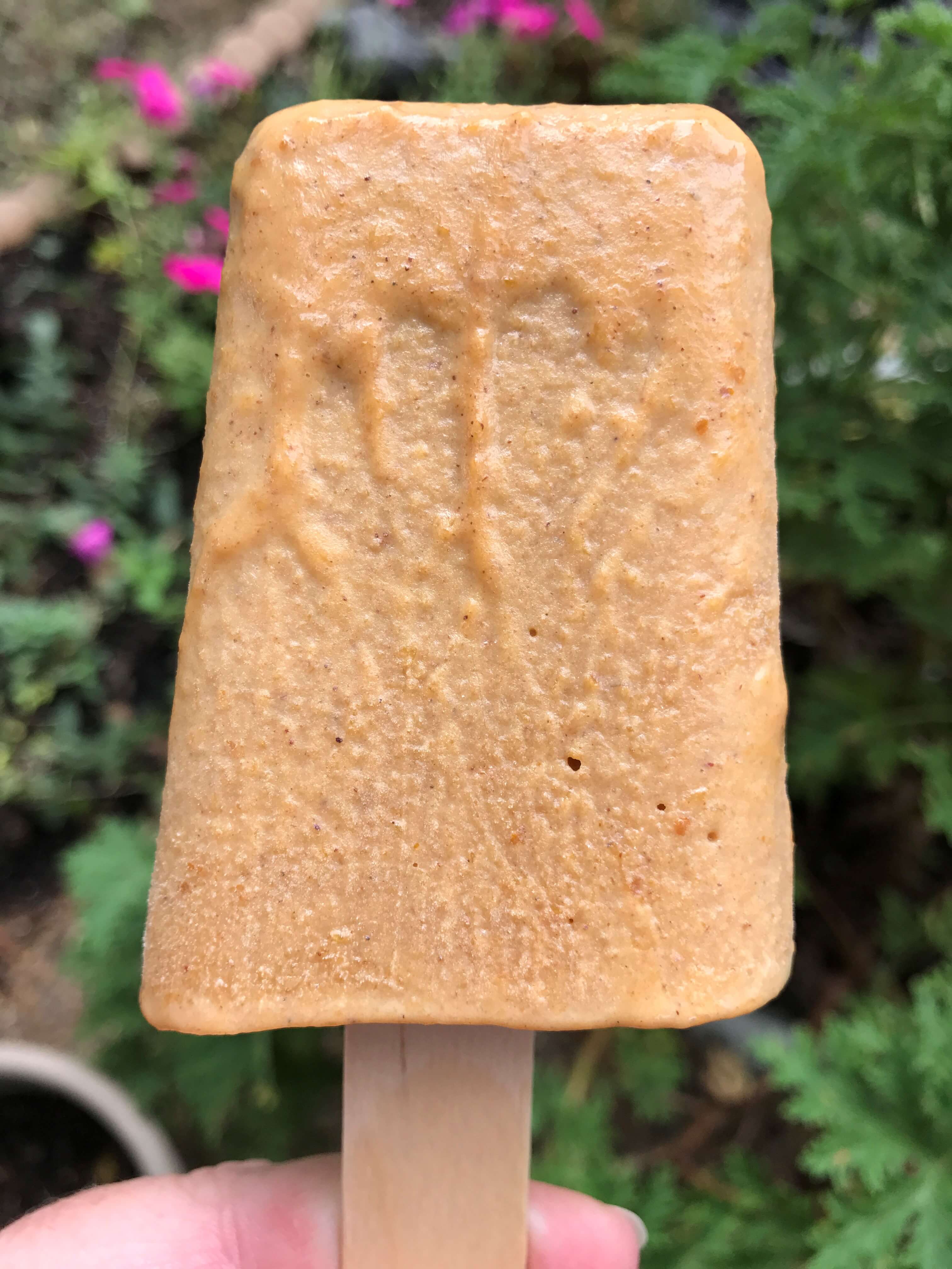 Pumpkin Pie Freezer Pops Recipe