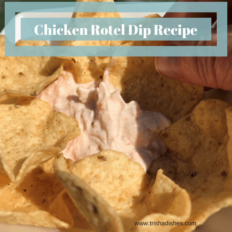 Chicken Rotel Dip Recipe | Trisha Dishes | Appetizer | Party Food | Chips and Dip | Chicken Recipe | Rotel Dip