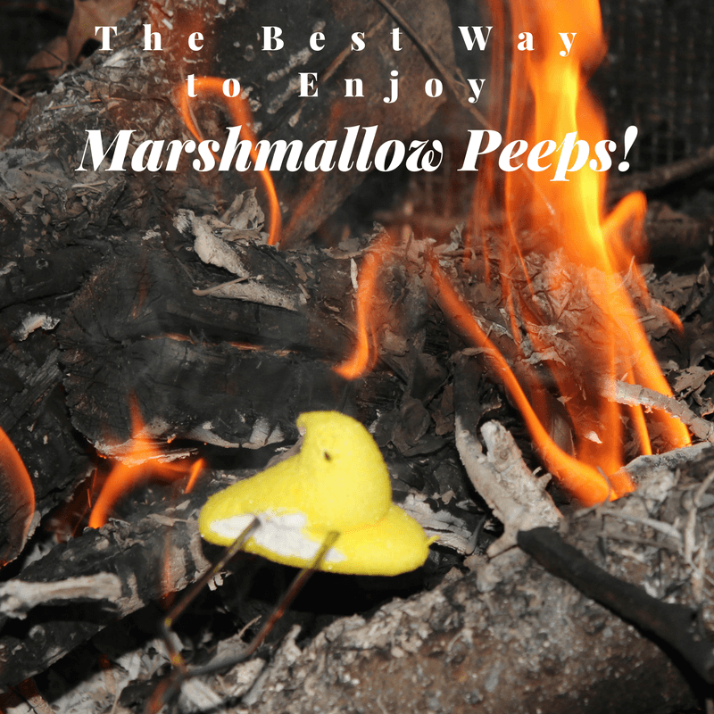 Have you tried marshmallow Peeps roasted over a fire?